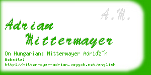 adrian mittermayer business card